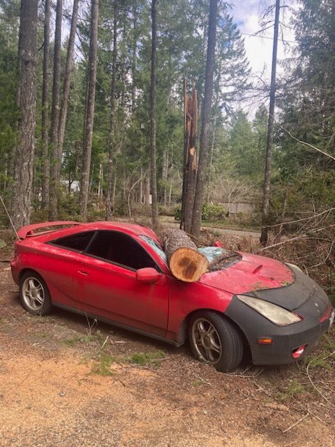 Side View Of Car With Log — Shelton, WA — Beko's Trees LLC & Wood Carving
