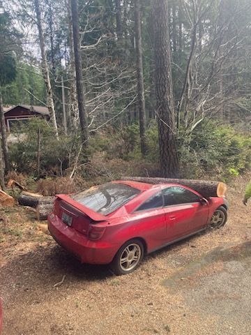 Back View Of Car With Log — Shelton, WA — Beko's Trees LLC & Wood Carving