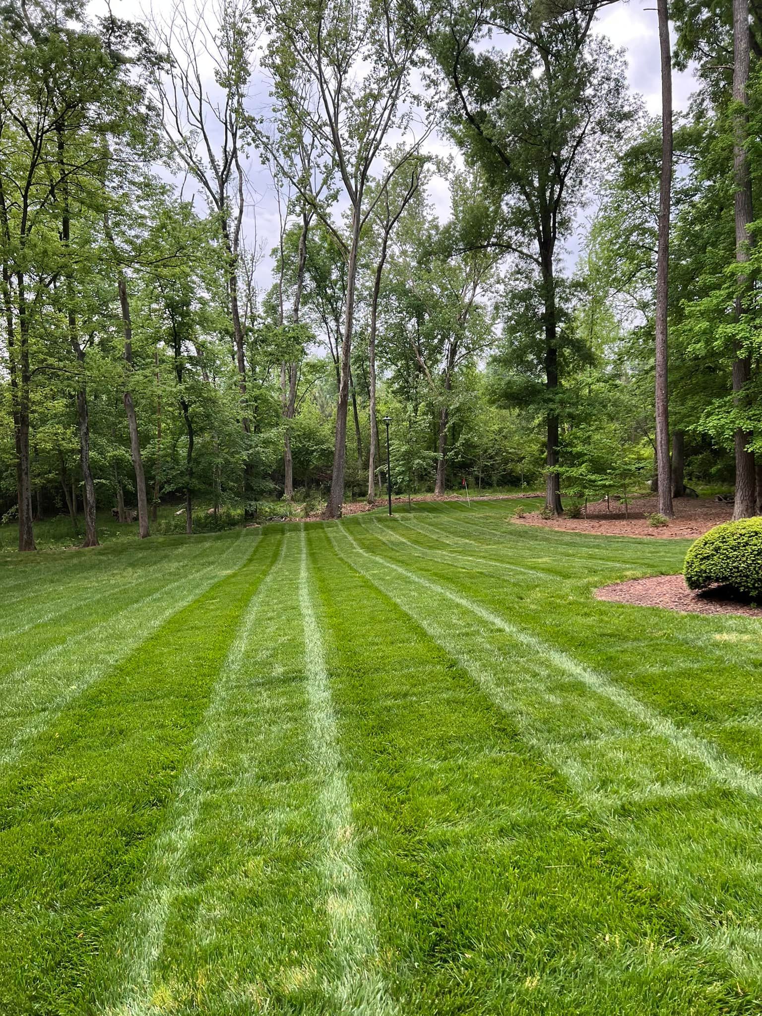 Lawn with striped mowing pattern, framed by trees under an overcast sky.