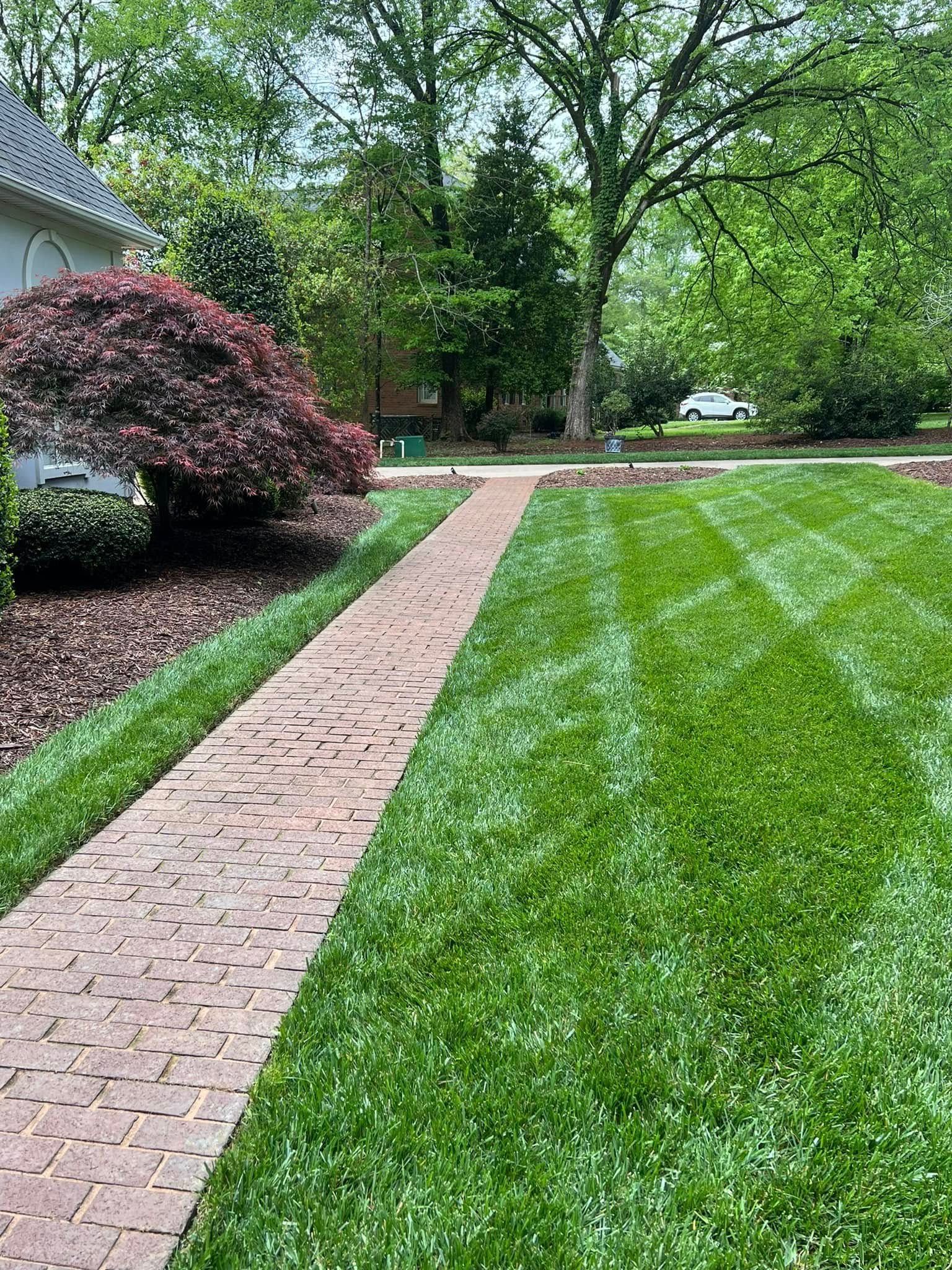 Brick pathway leading through a manicured green lawn, edged by mulch and a red-leafed tree.