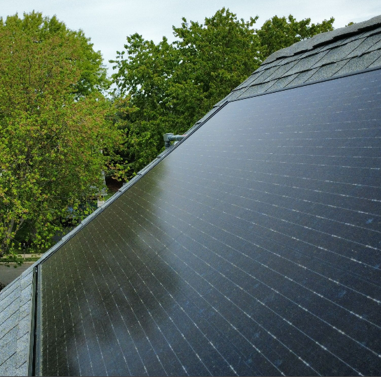 Solar panels on a sloped roof beside green trees and a clear sky