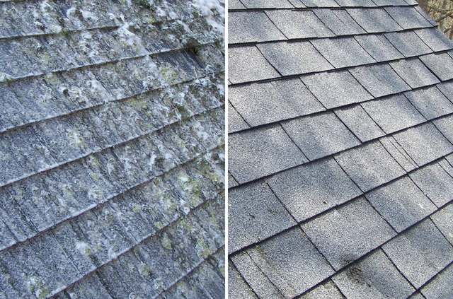 Side-by-side close-up of a roof, showing weathered shingles on the left and clean shingles on the right.
