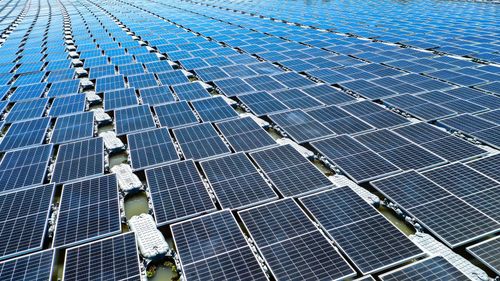 Rows of blue solar panels stretching across a solar farm under bright sunlight