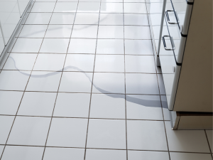 Puddle on white kitchen floor, caused by leaking dishwasher