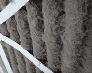 Close-up of gray, fuzzy fibers trapped in white diagonal strips