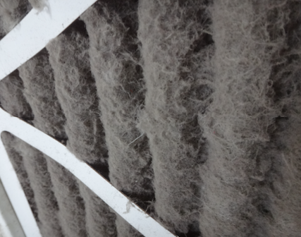 Close-up of gray fibers trapped between white slats, resembling lint or insulation.