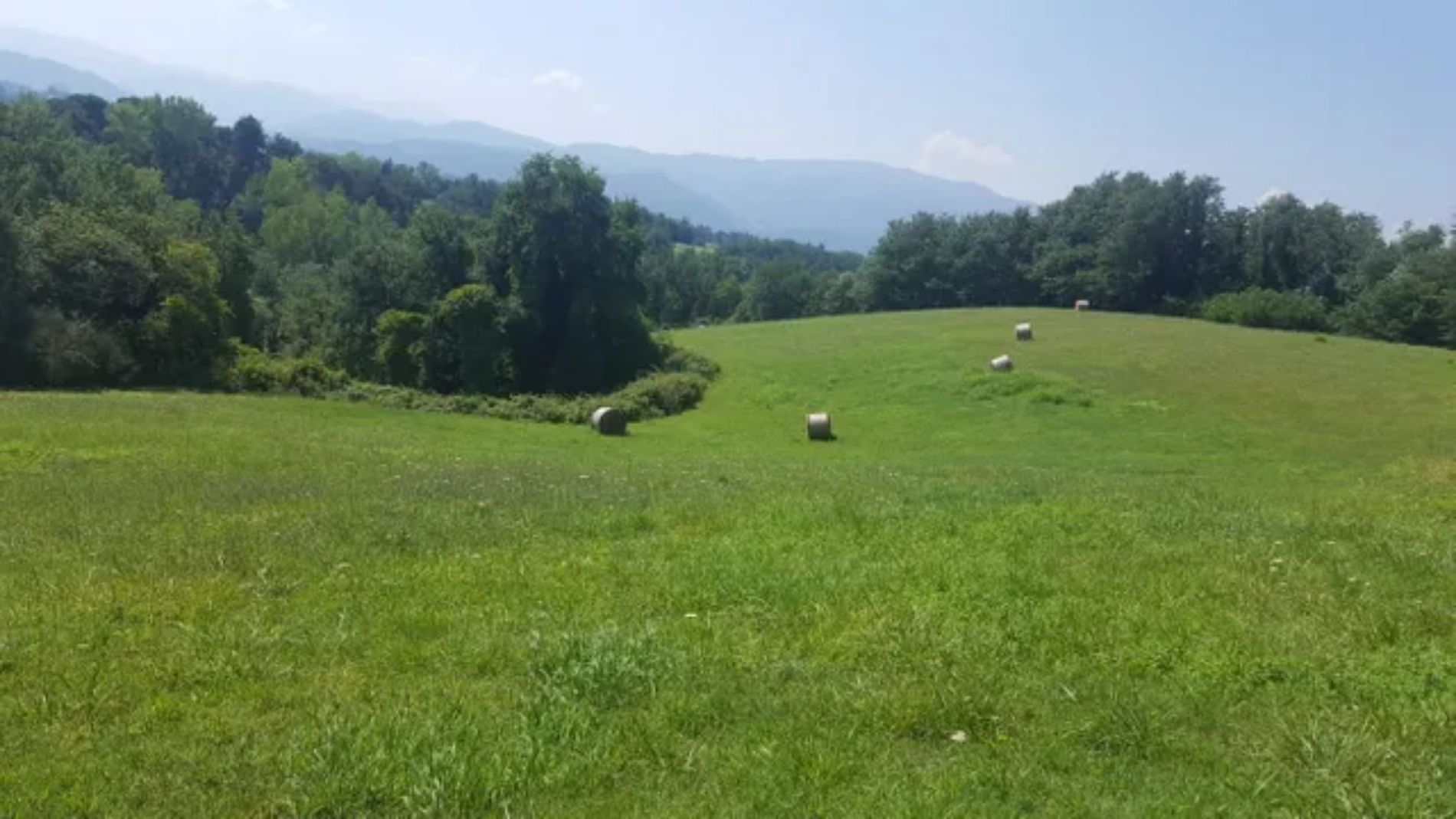 Azienda agricola foto 4