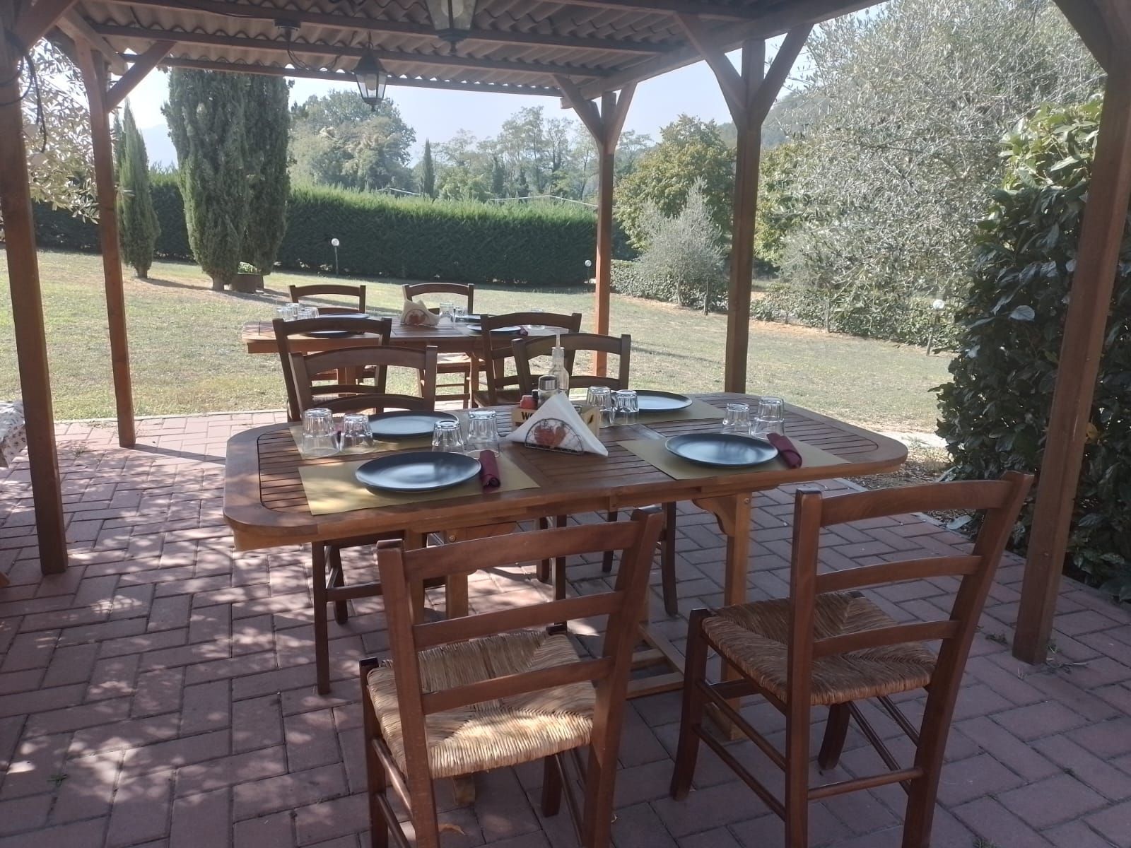 Azienda agricola foto 11