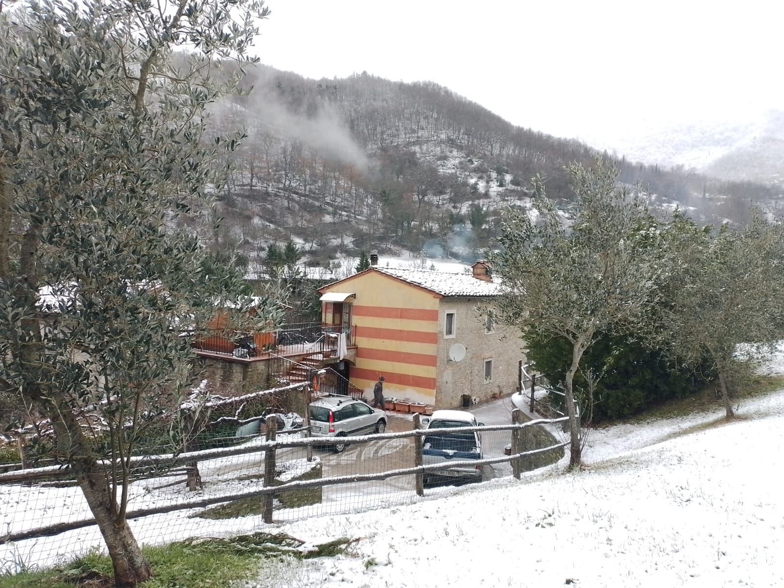 Azienda agricola foto 9