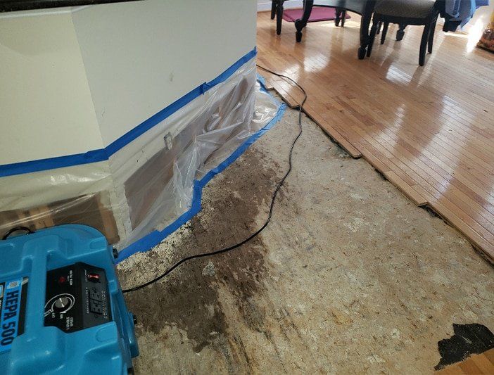 water mitigation services