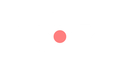 Mirrorless Productions logo representing Wisconsin commercial video production, filmmaking, drone services, and brand storytelling.