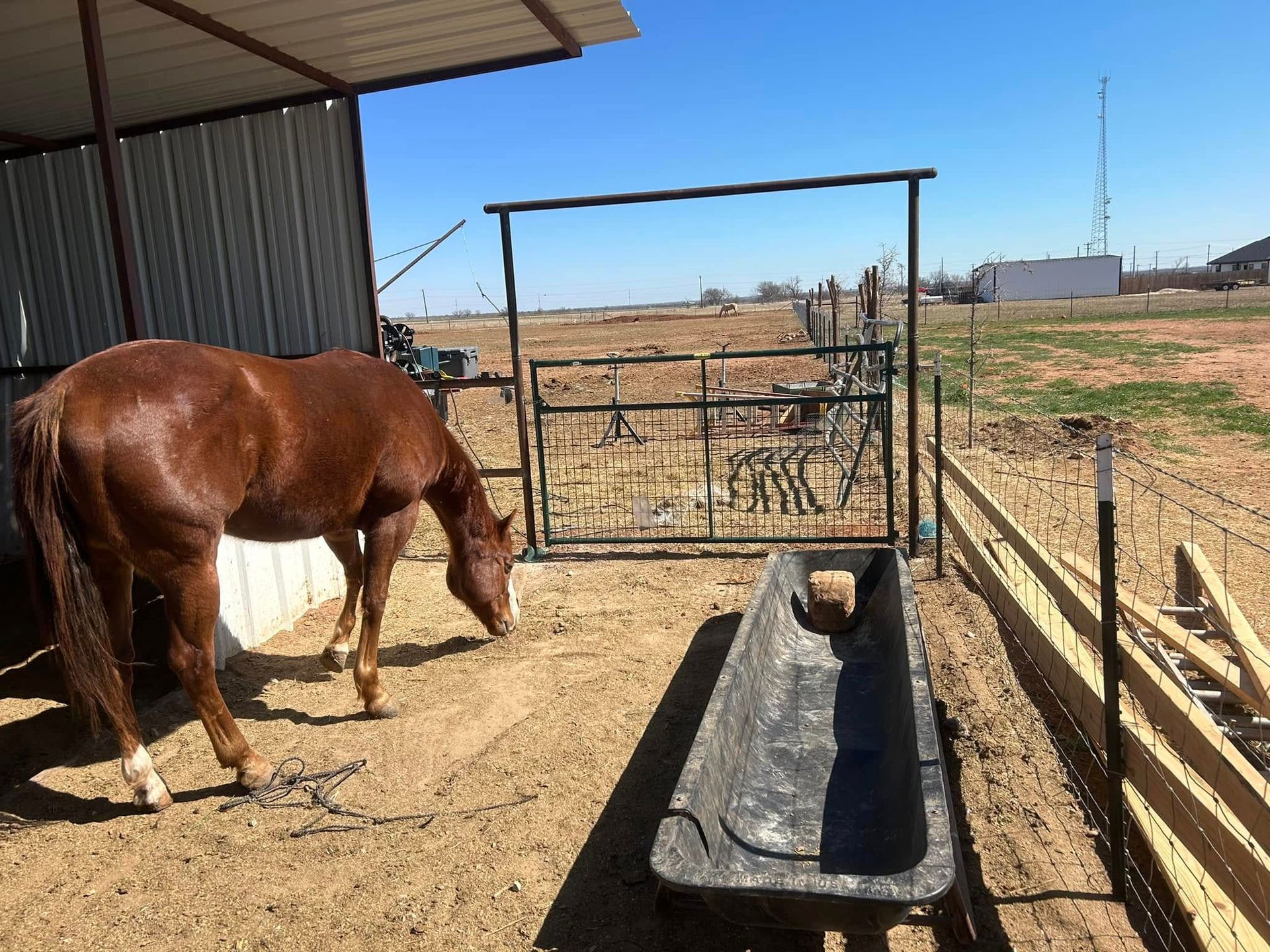 A brown horse grazes in a dirt enclosure next to a long black feeding trough under a partial metal shelter.