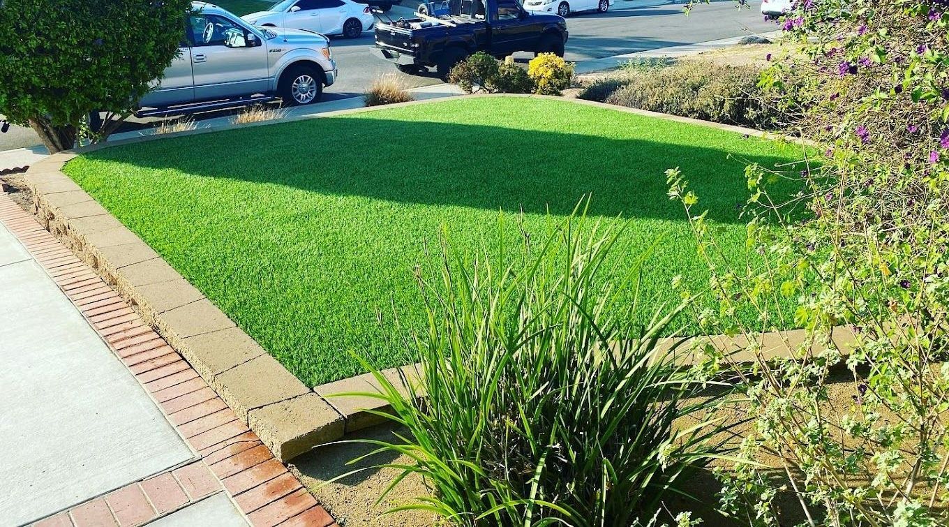 Front yard landscaping design in Sweetwater Village with Bonita artificial turf and drought-tolerant plants