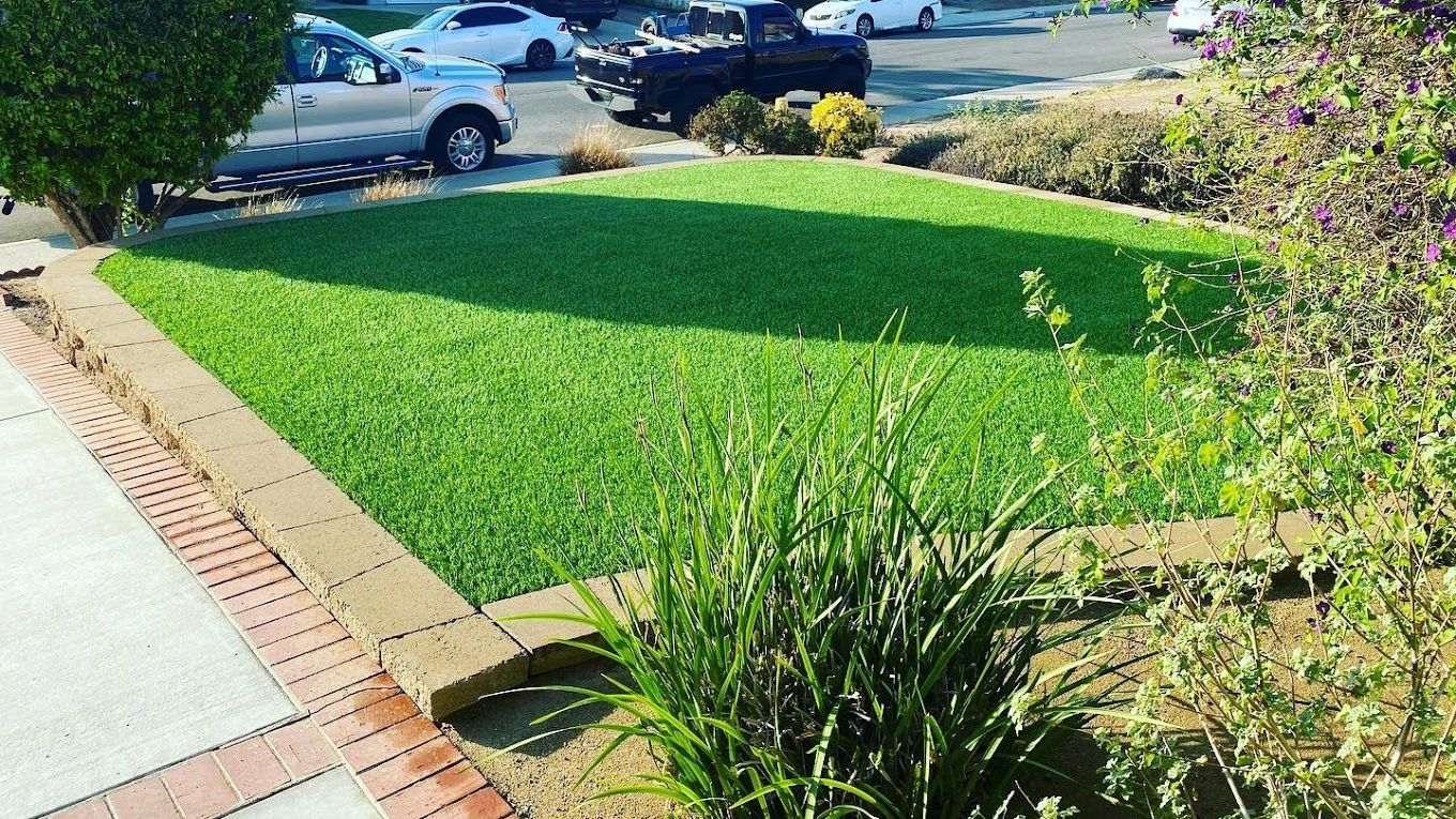 Artificial turf backyard installation in San Diego home