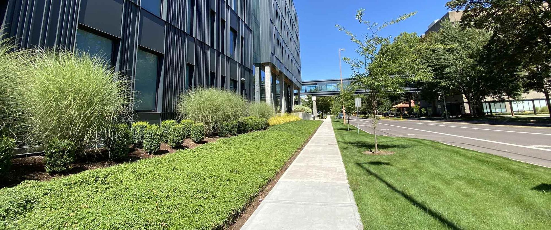 Commercial artificial turf and paver project by San Diego concrete and landscape contractors.
