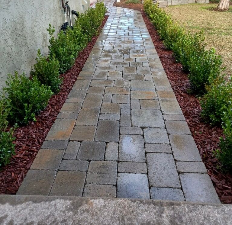 Native plant landscaping design for a Bonita canyon lot backyard