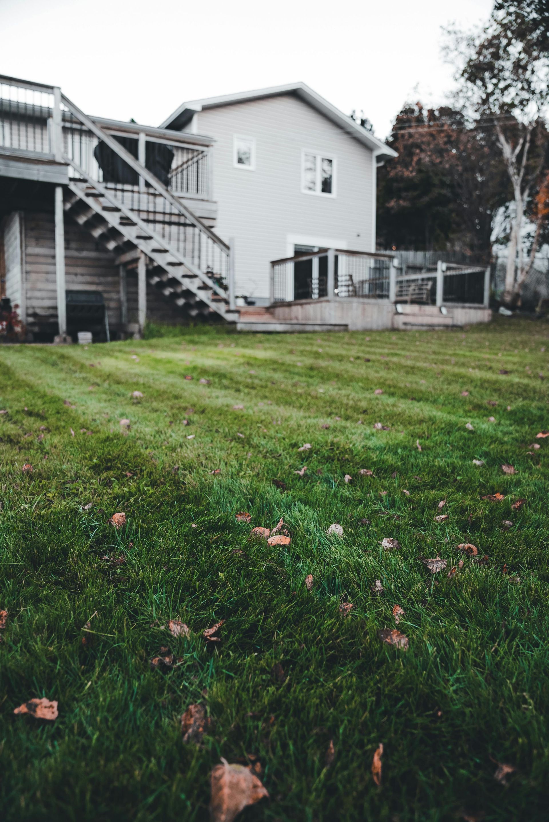 empty san diego backyard with minimal landscaping and large unused outdoor space