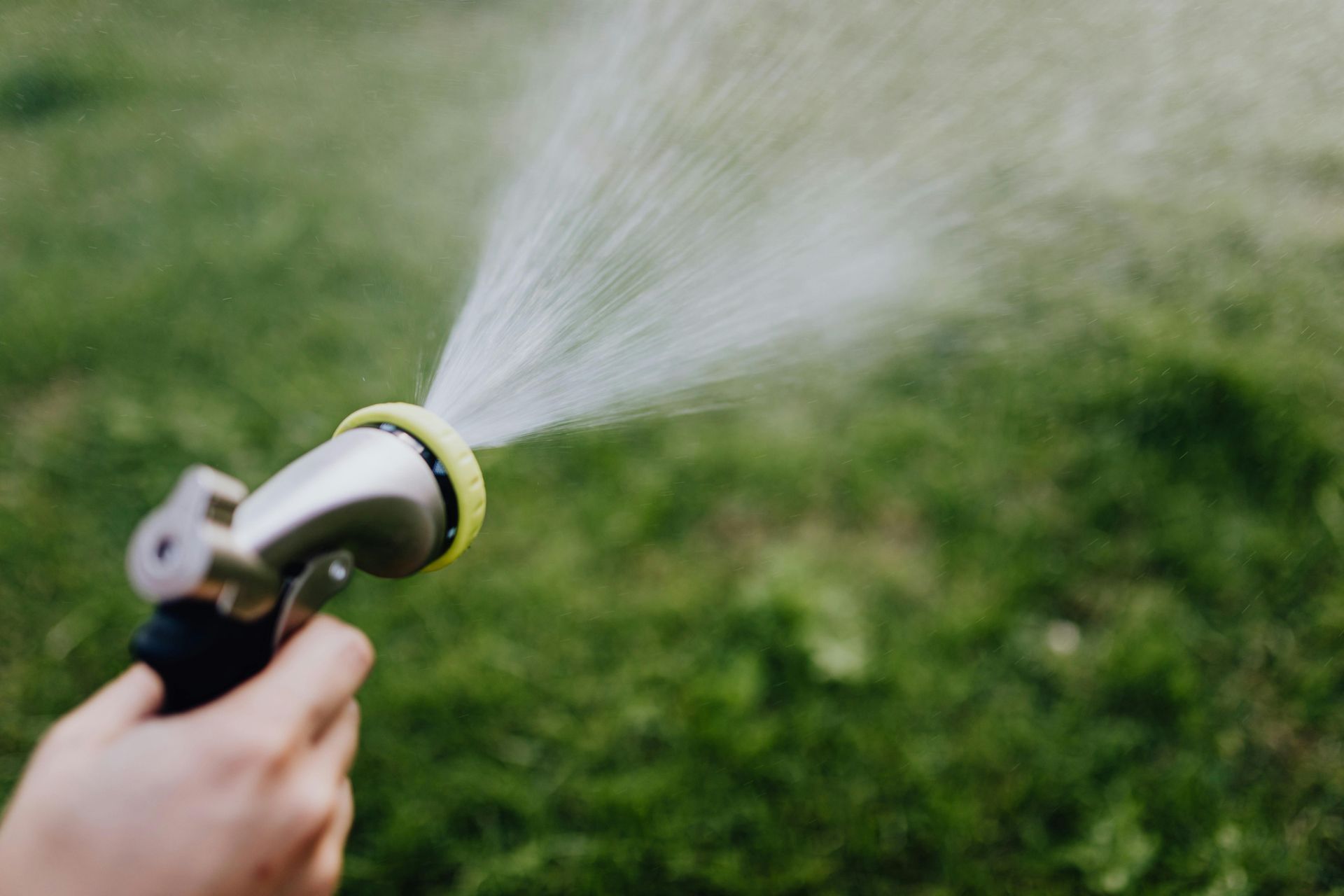 person watering natural grass lawn during summer in san diego landscape with high water usage