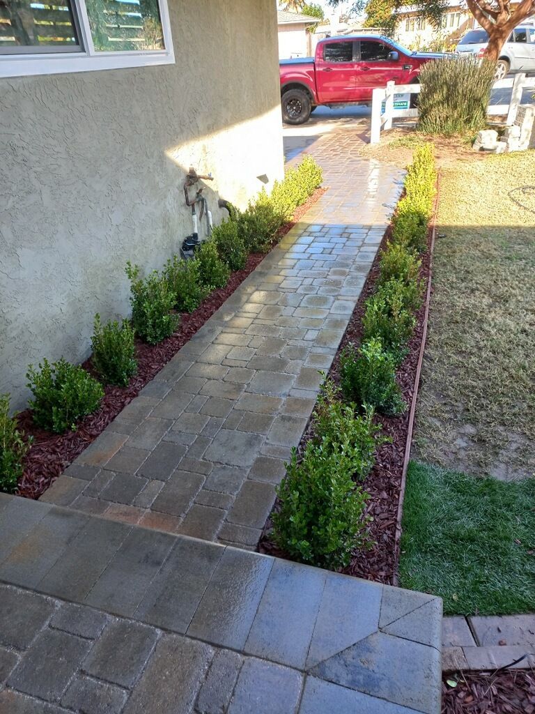 Paver pathway with integrated landscape design including plants and mulch by San Diego landscape designers