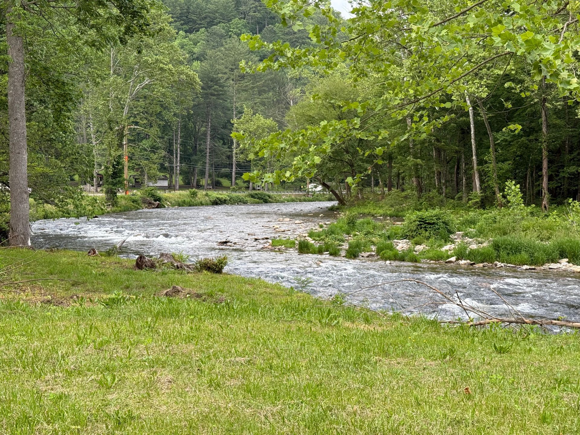 A flowing river with rocky bed, bordered by green grass and trees.