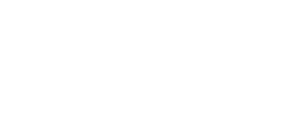 A logo for a company called silk with orange letters on a white background.