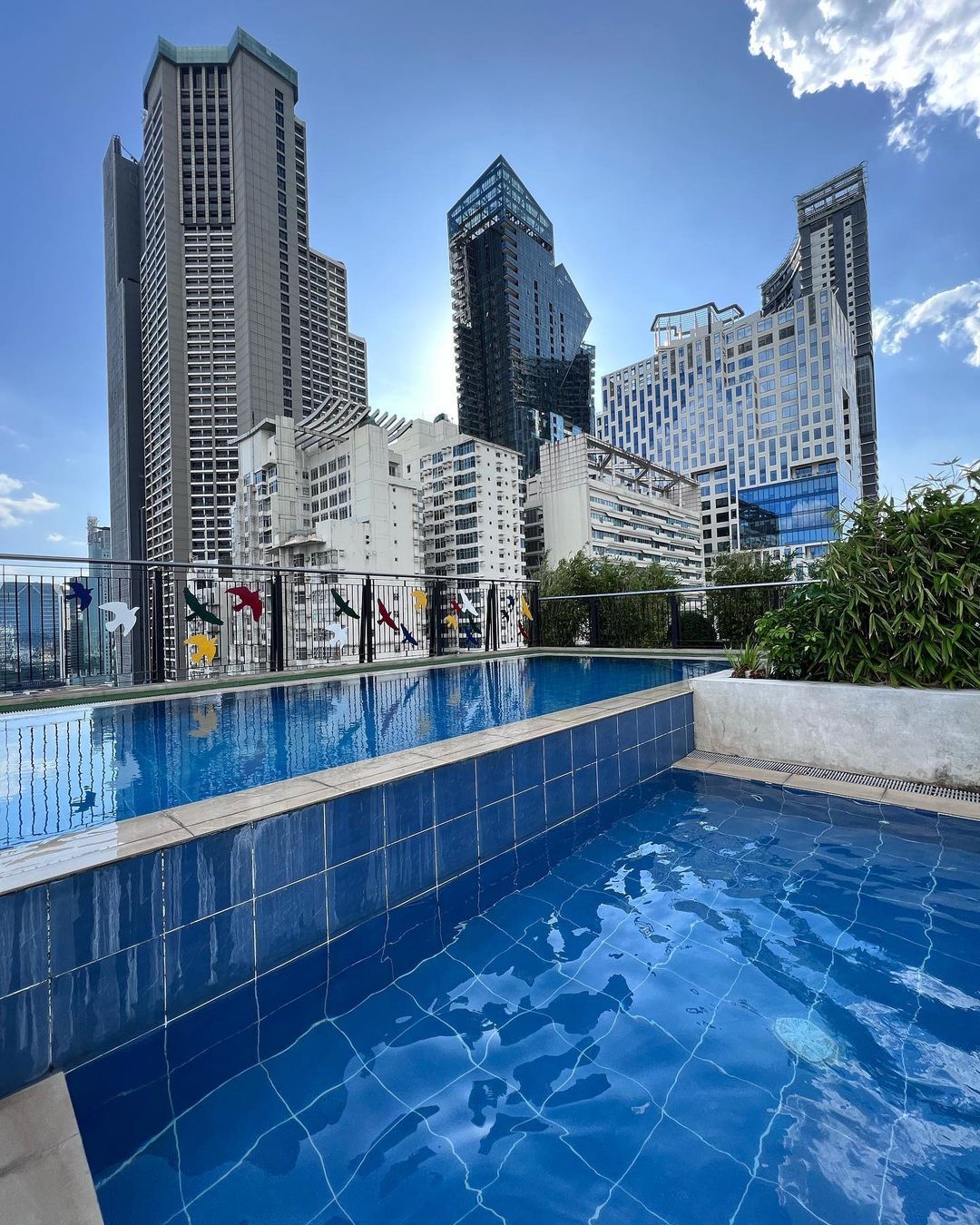 Rooftop pool with city skyline backdrop under a blue sky, featuring tall modern buildings.