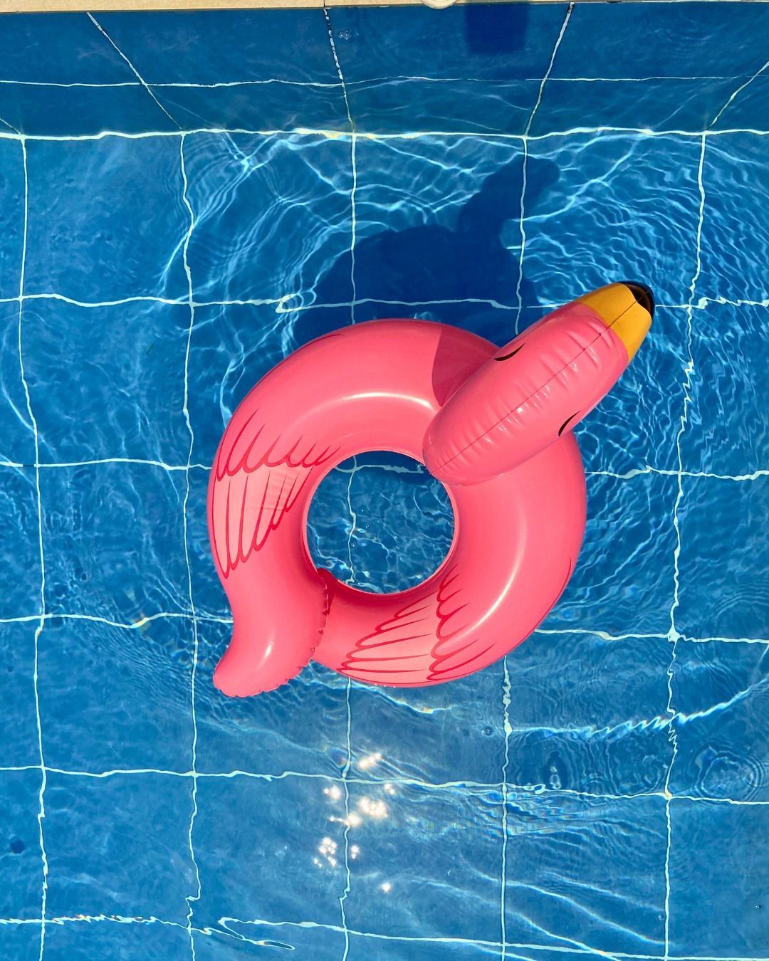 Pink flamingo pool float in a blue tiled pool.
