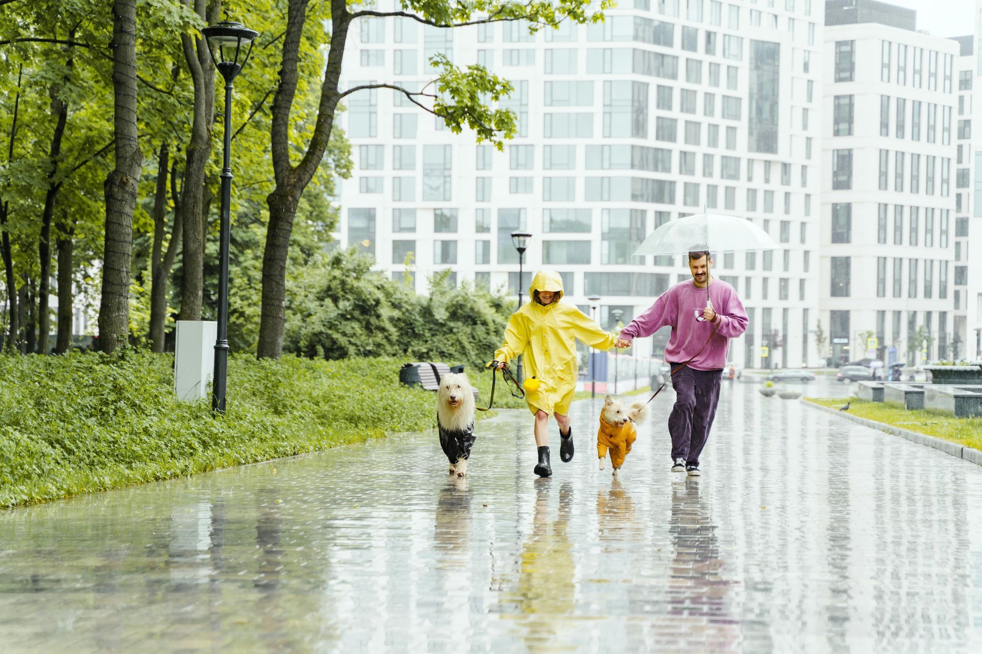 Two people and two dogs in raincoats walking in the rain in front of buildings.
