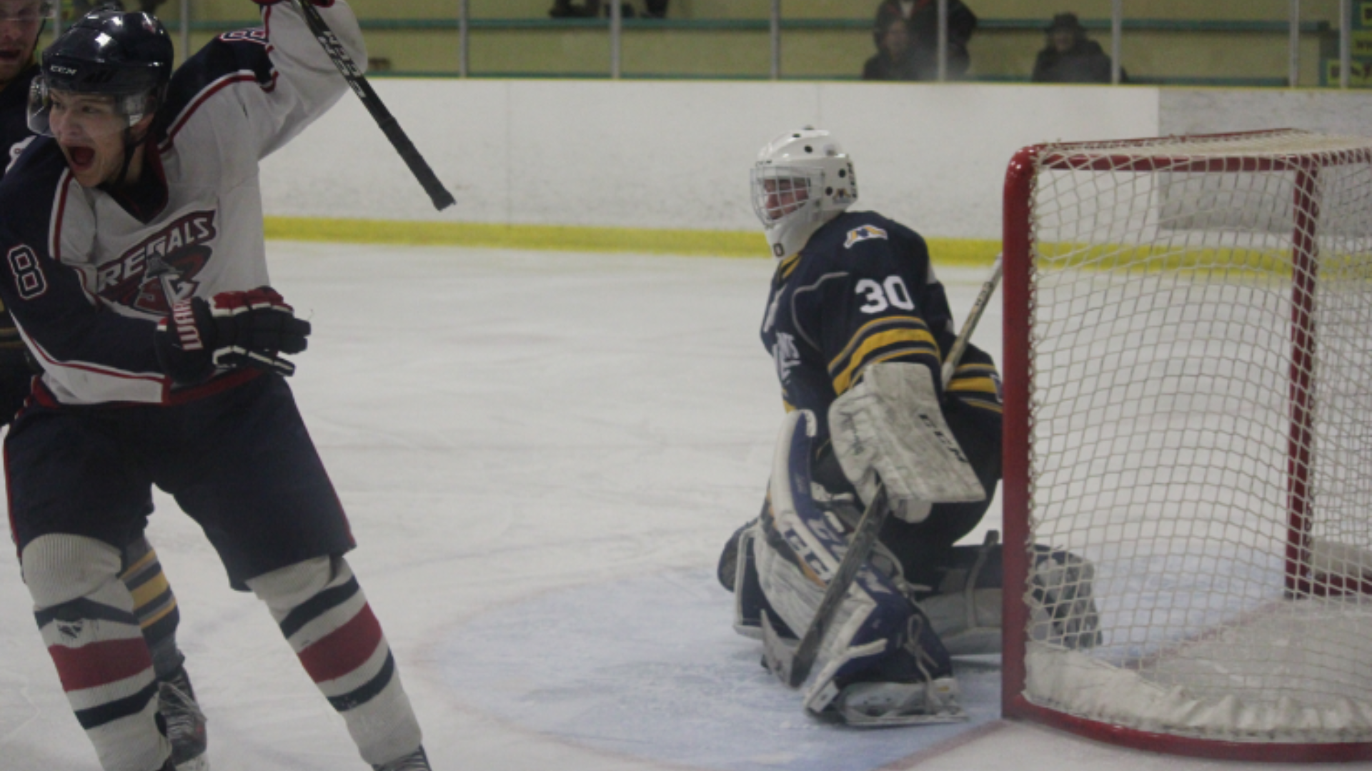 Dallas Scarlett, Dallas Scarlett Edmonton, Dallas Scarlett Hockey, Dallas Scarlett Marketing, Dallas, Scarlett, Dallas Scarlett Alberta, Dallas Scarlett Canada, Digital Marketing Near Me, Near Me, Dallas Scarlett Marketing,