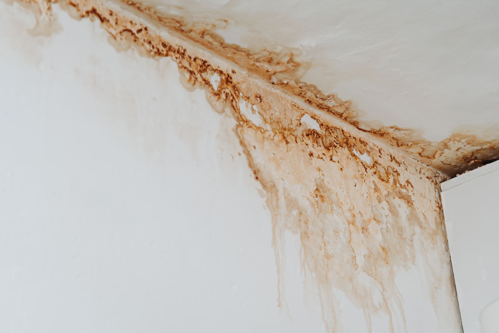 streaks of dirty rusty water on white ceiling and wall streaks of dirty rusty water on white ceiling and wall