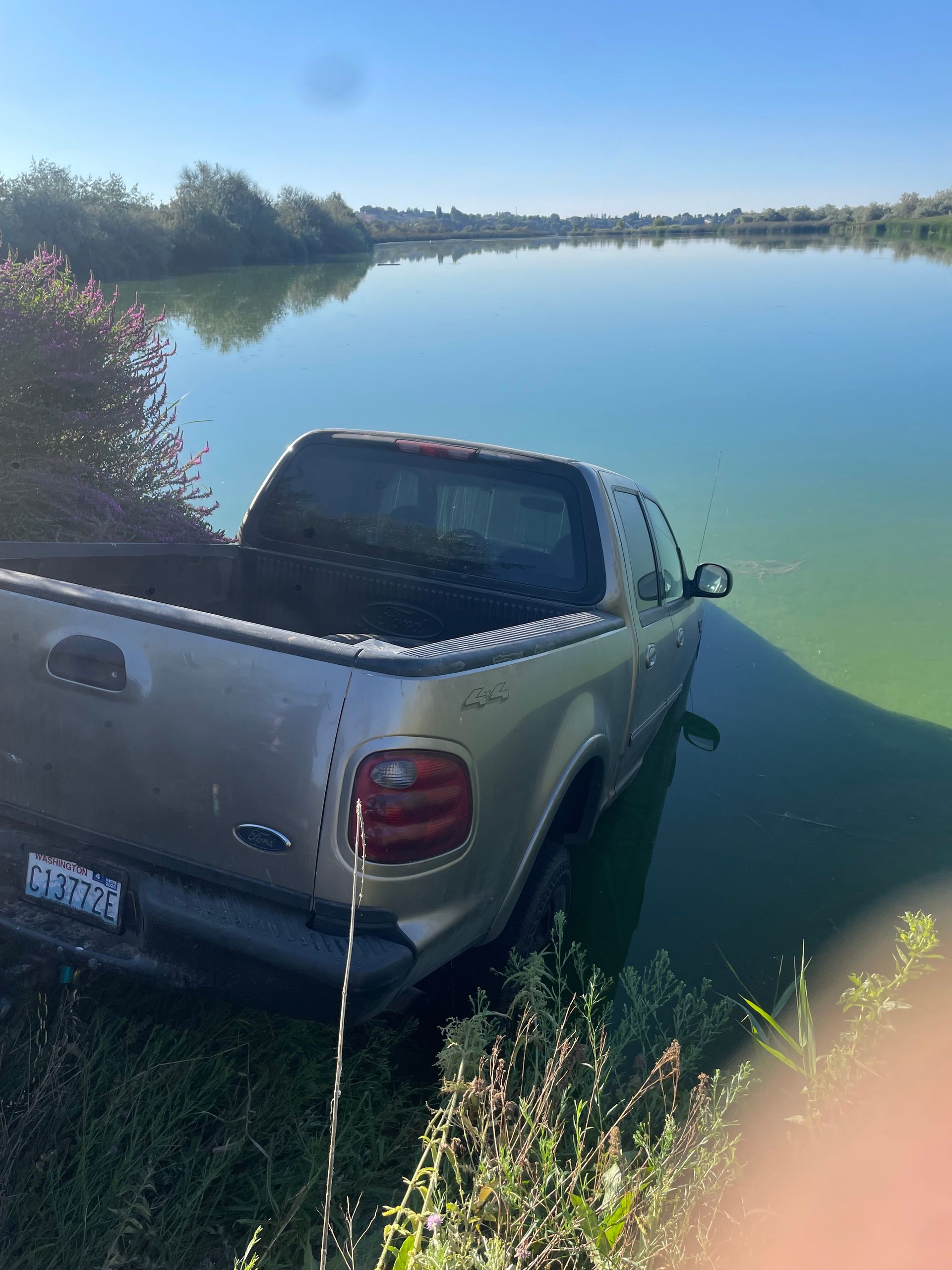 Silver pickup truck stuck at the edge of a green lake under a clear blue sky