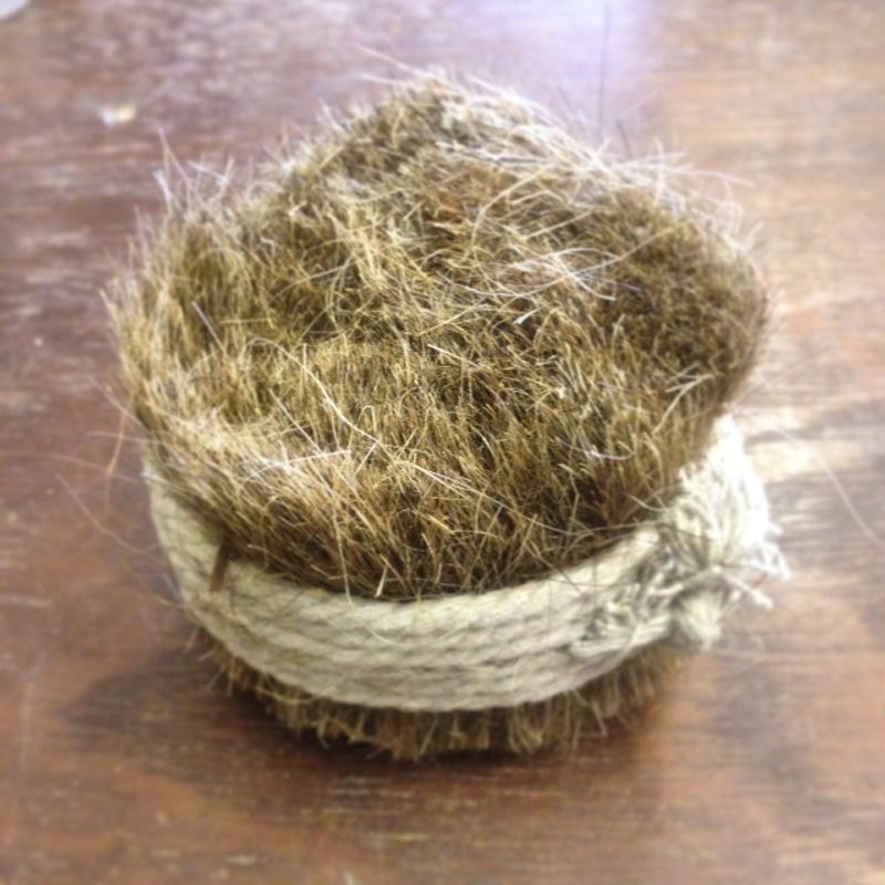Horse Hair - SDS