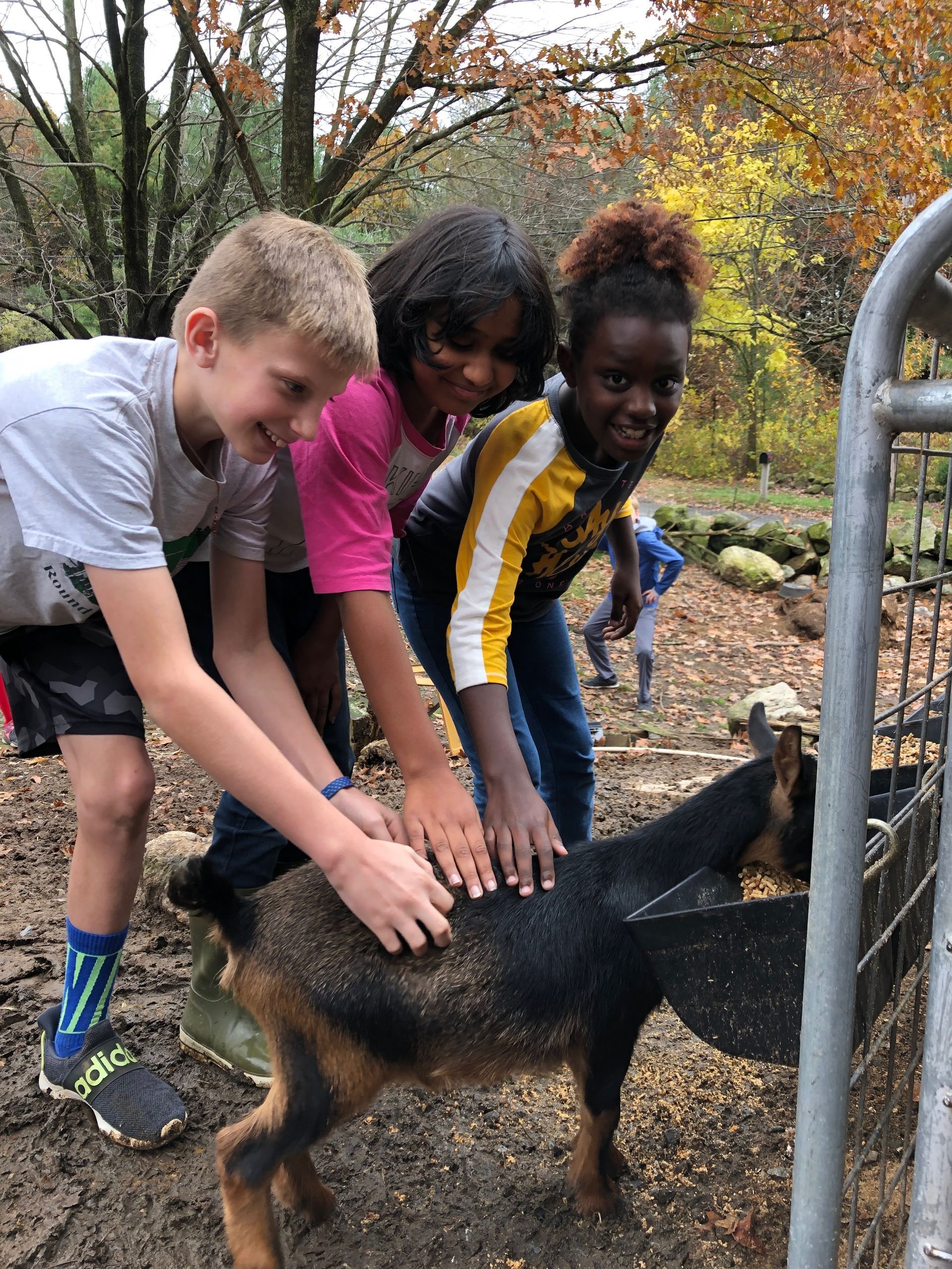 movement and outdoor time at a progressive education school in massachusetts