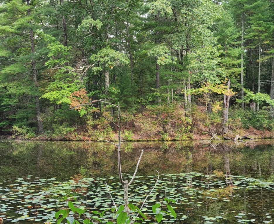 outdoor learning island classroom