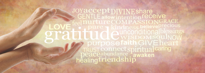 Gratitude, Ottalaus Salon