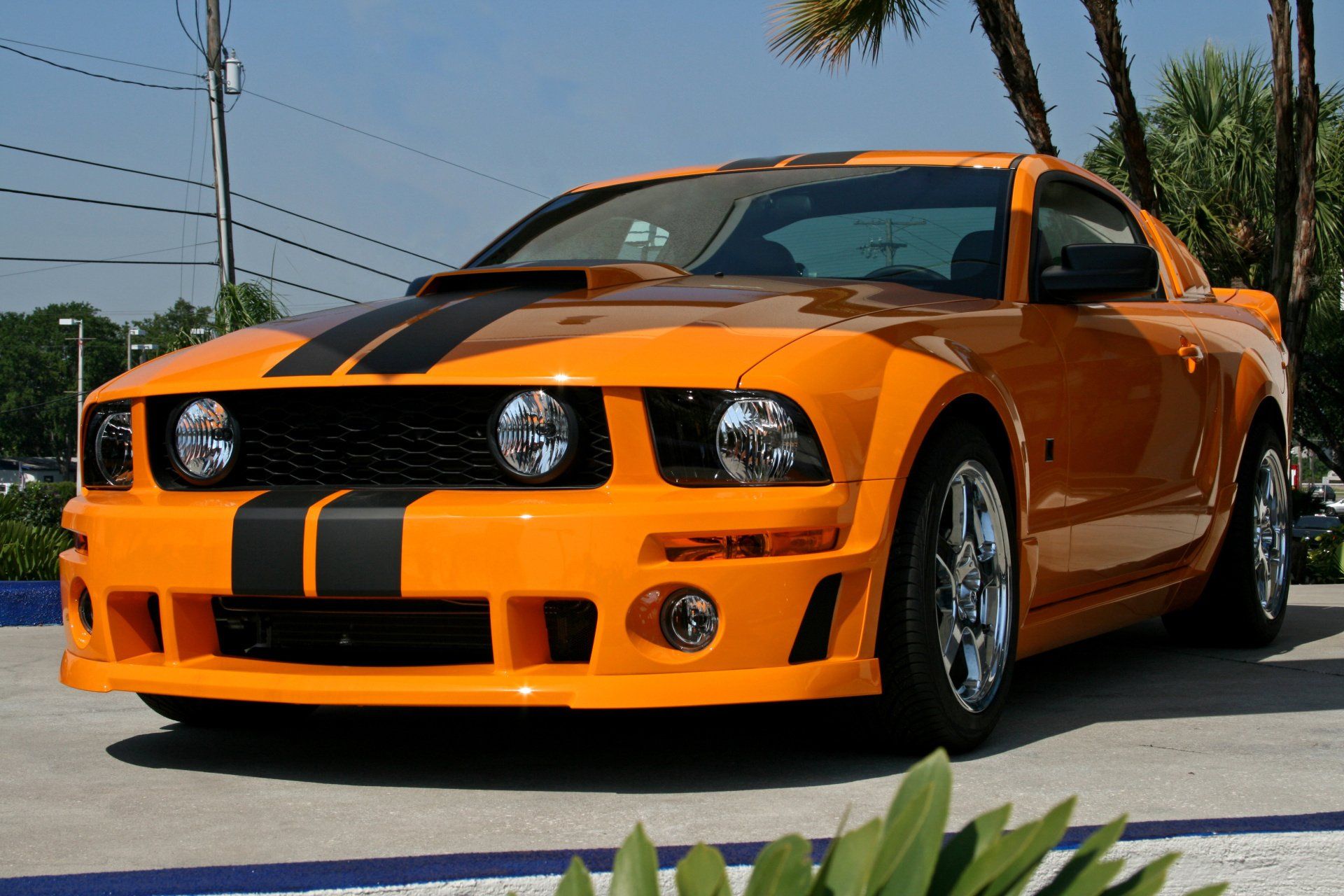 vinyl stripes ocala
