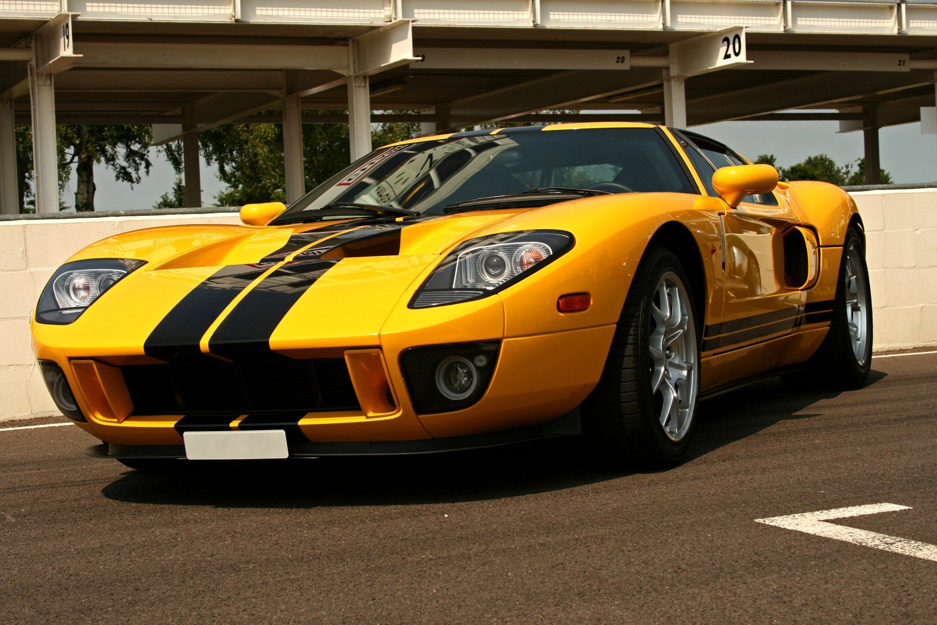 vinyl striping