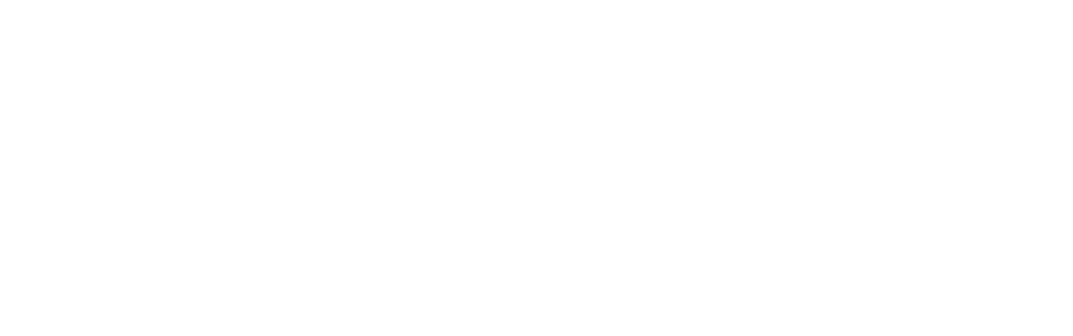 Blank white rectangular image with a thin black border on a white background