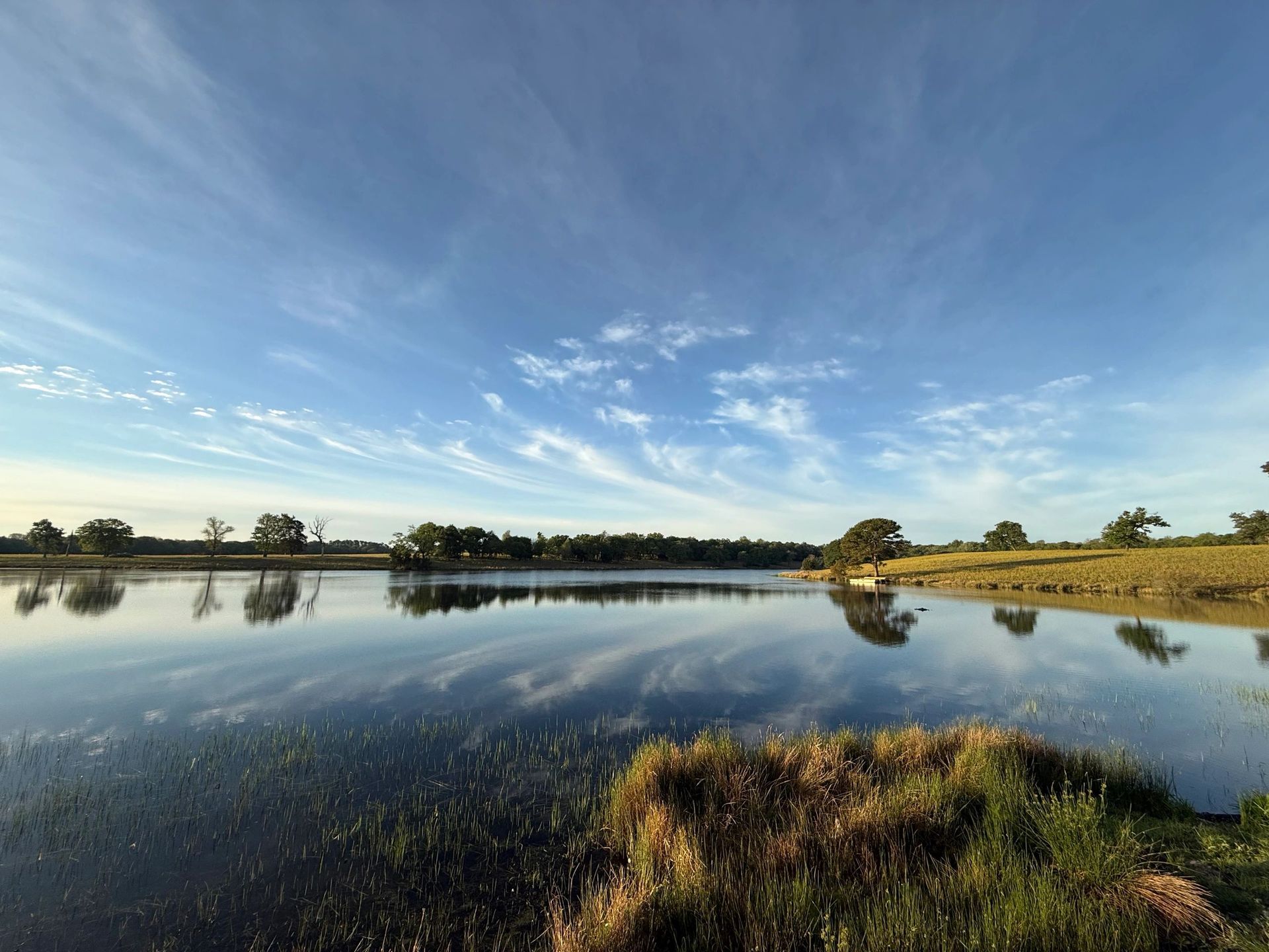 Calm lake reflecting blue sky and clouds, with grassy shoreline in the foreground and trees along the horizon.