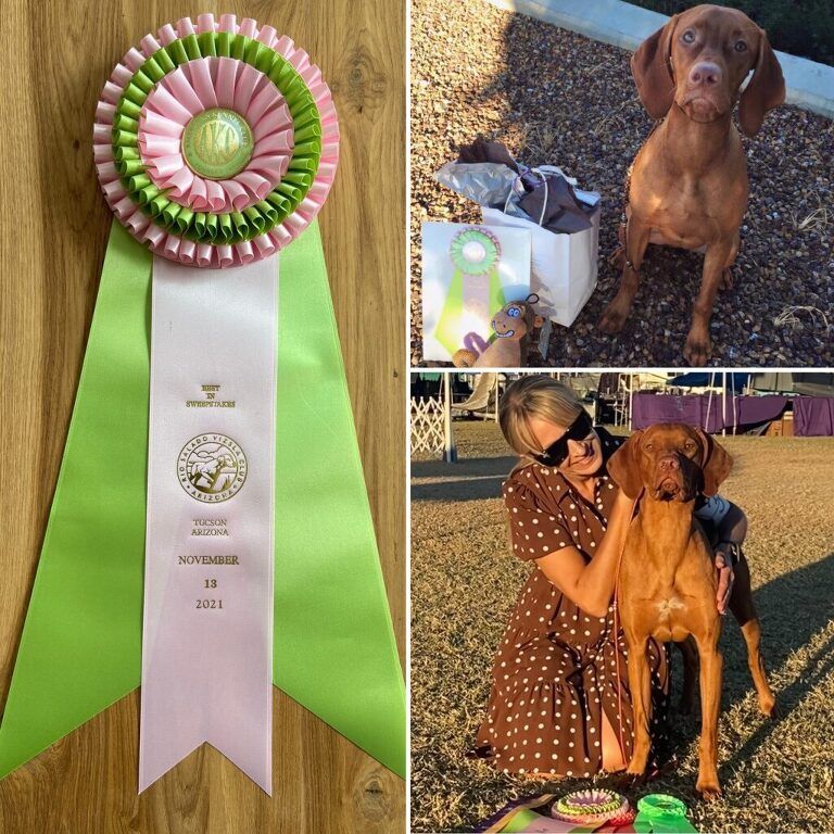 A woman holding a dog next to a ribbon that says 2011