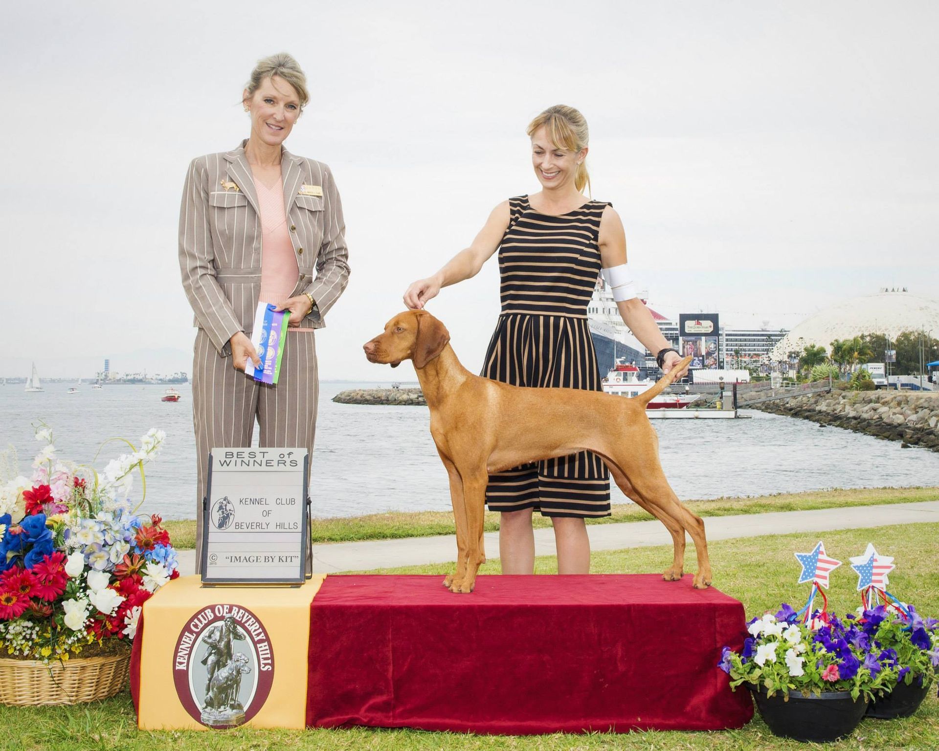 A woman is standing next to a dog on a podium