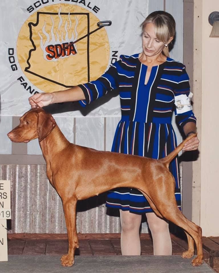 A woman stands next to a brown dog in front of a sign that says sofa