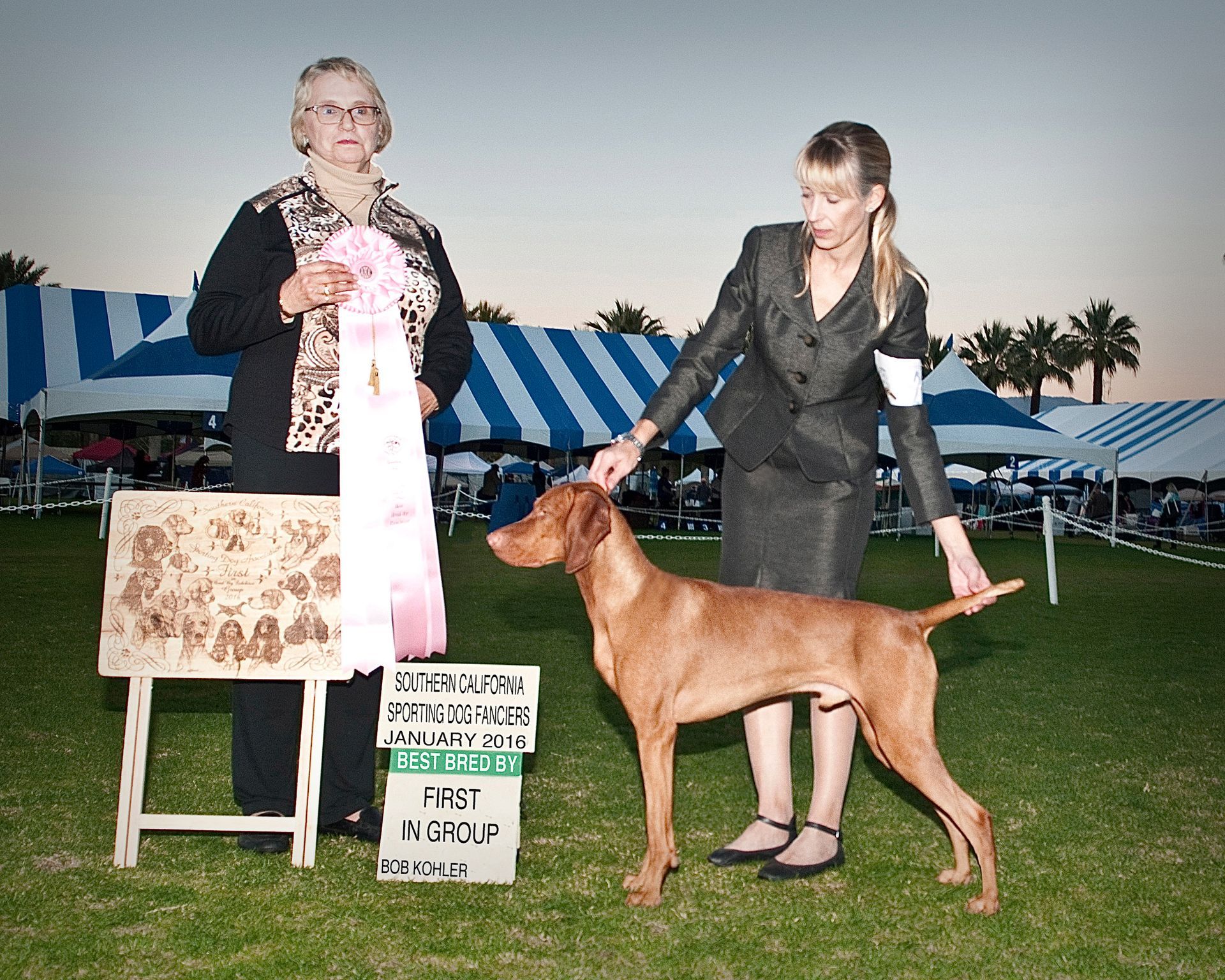 A woman holding a pink ribbon next to a dog