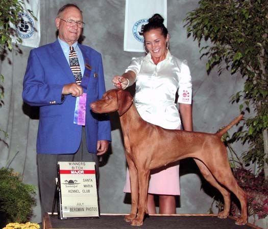 A man in a blue jacket holds a ribbon over a brown dog