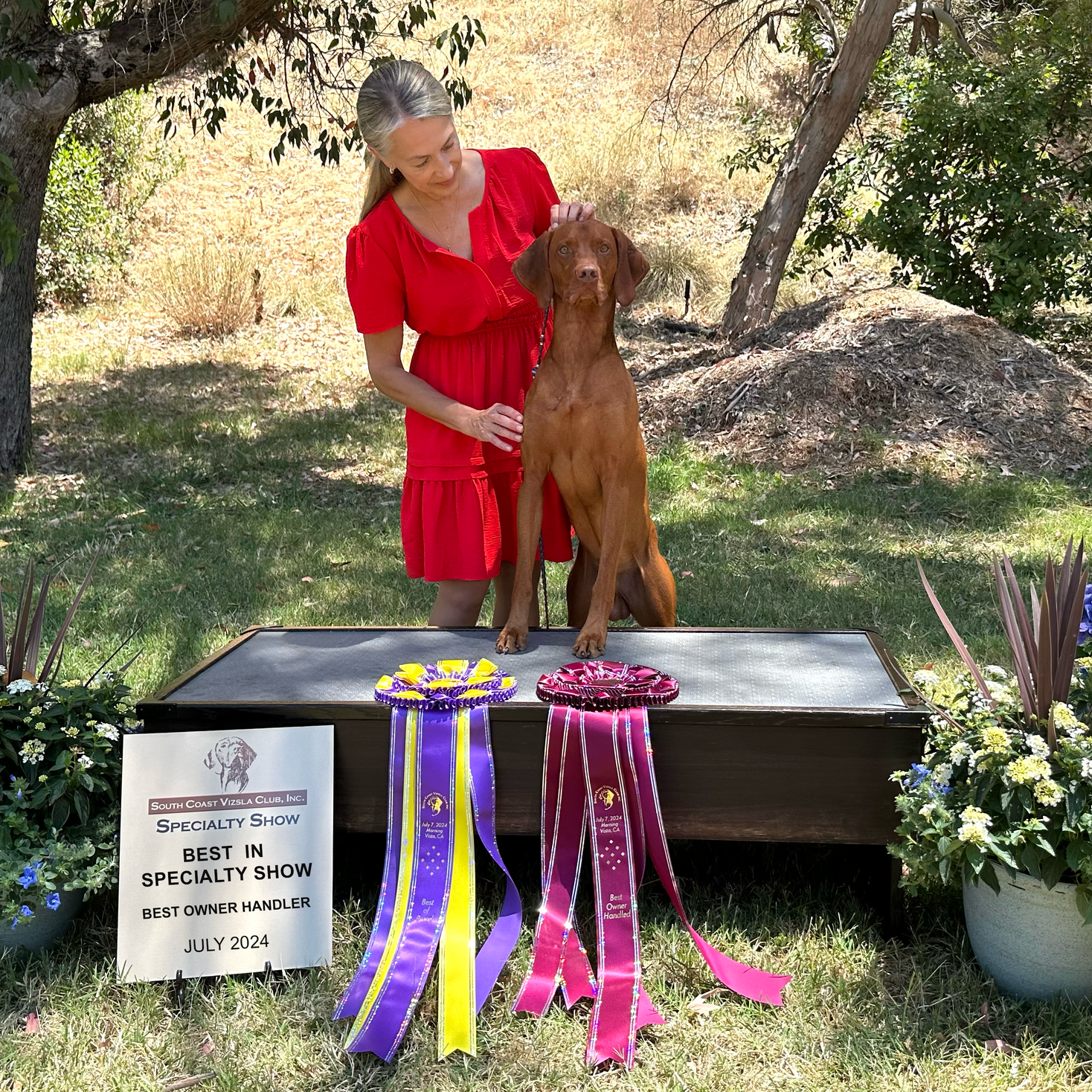 A woman in a red dress is standing next to a dog on a podium with ribbons.