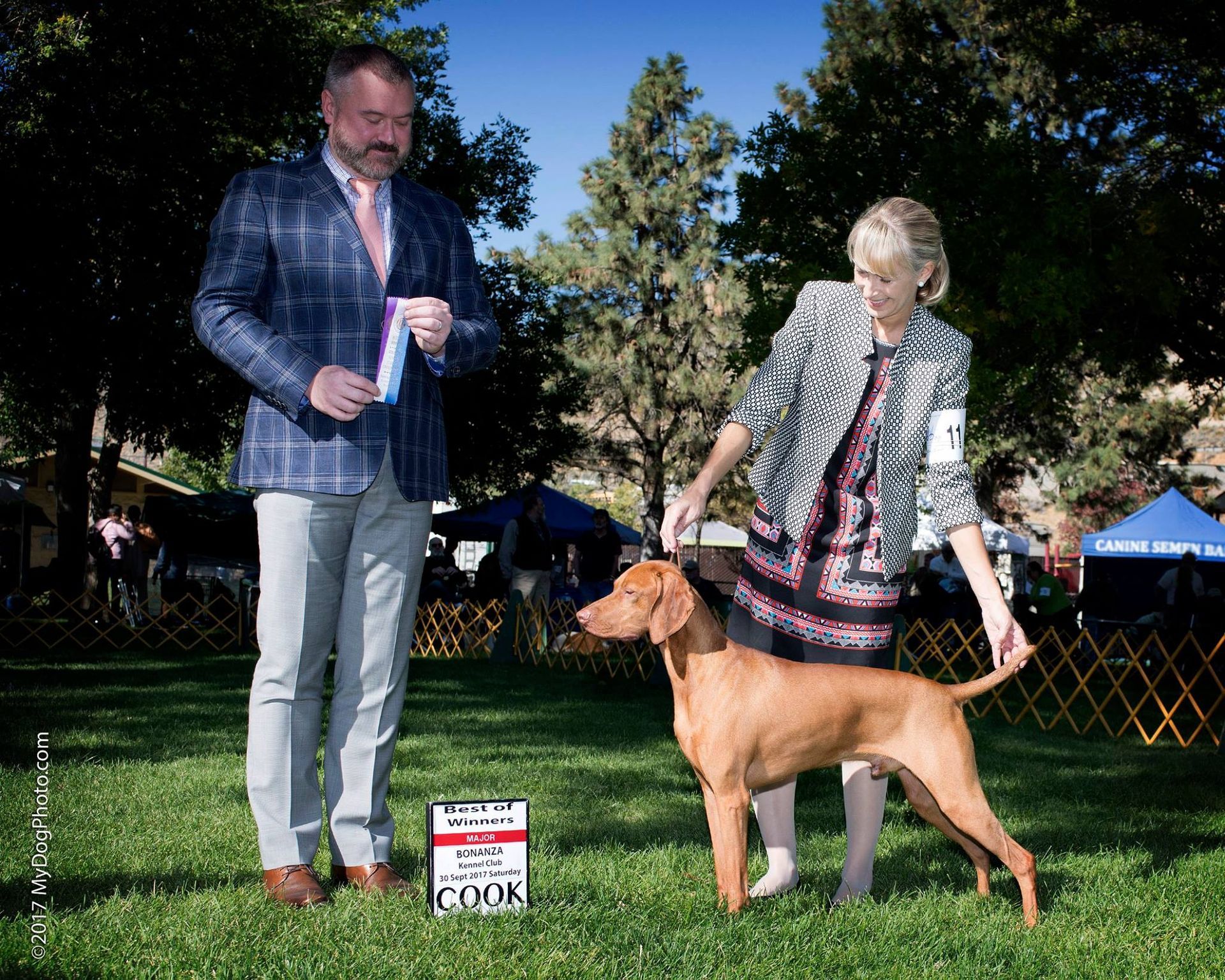 A man and a woman are standing next to a brown dog.