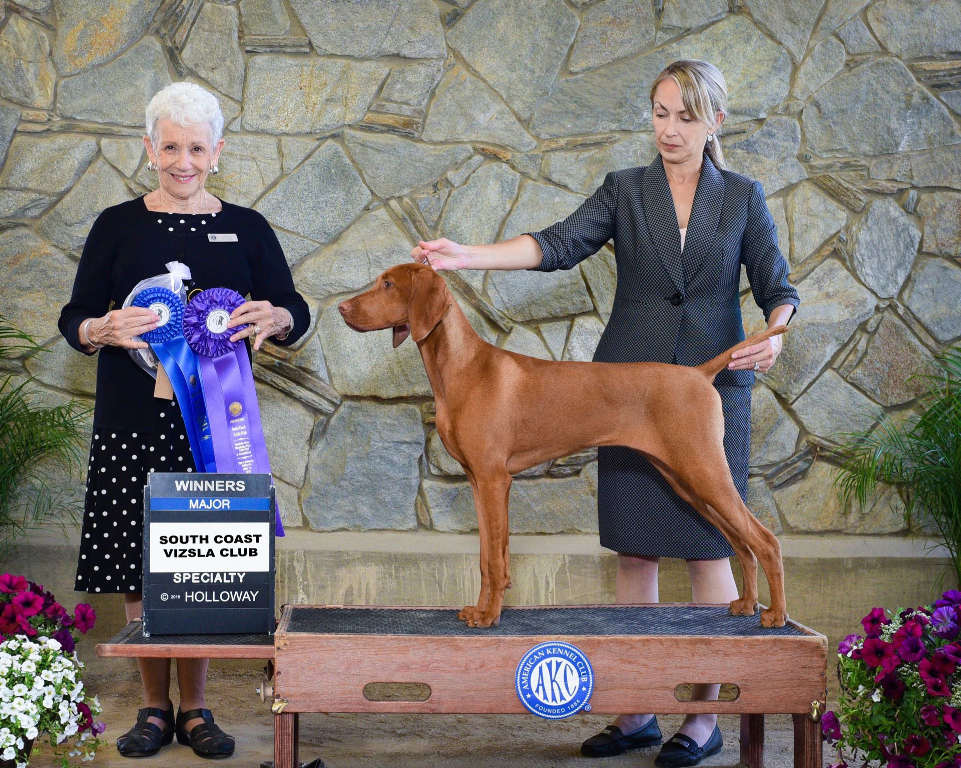 A woman is petting a dog on a podium at a dog show.