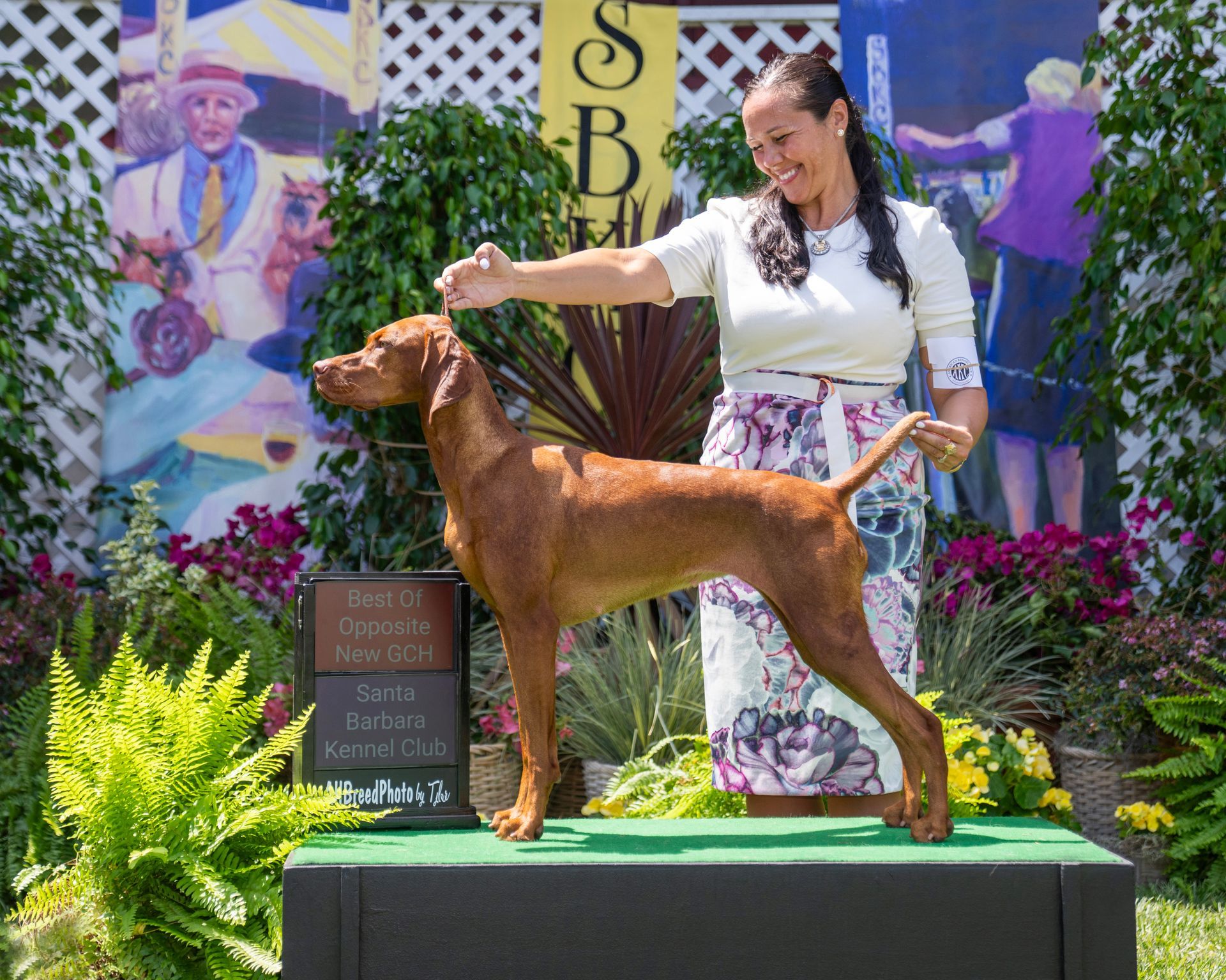 A woman in a purple dress is petting a brown dog