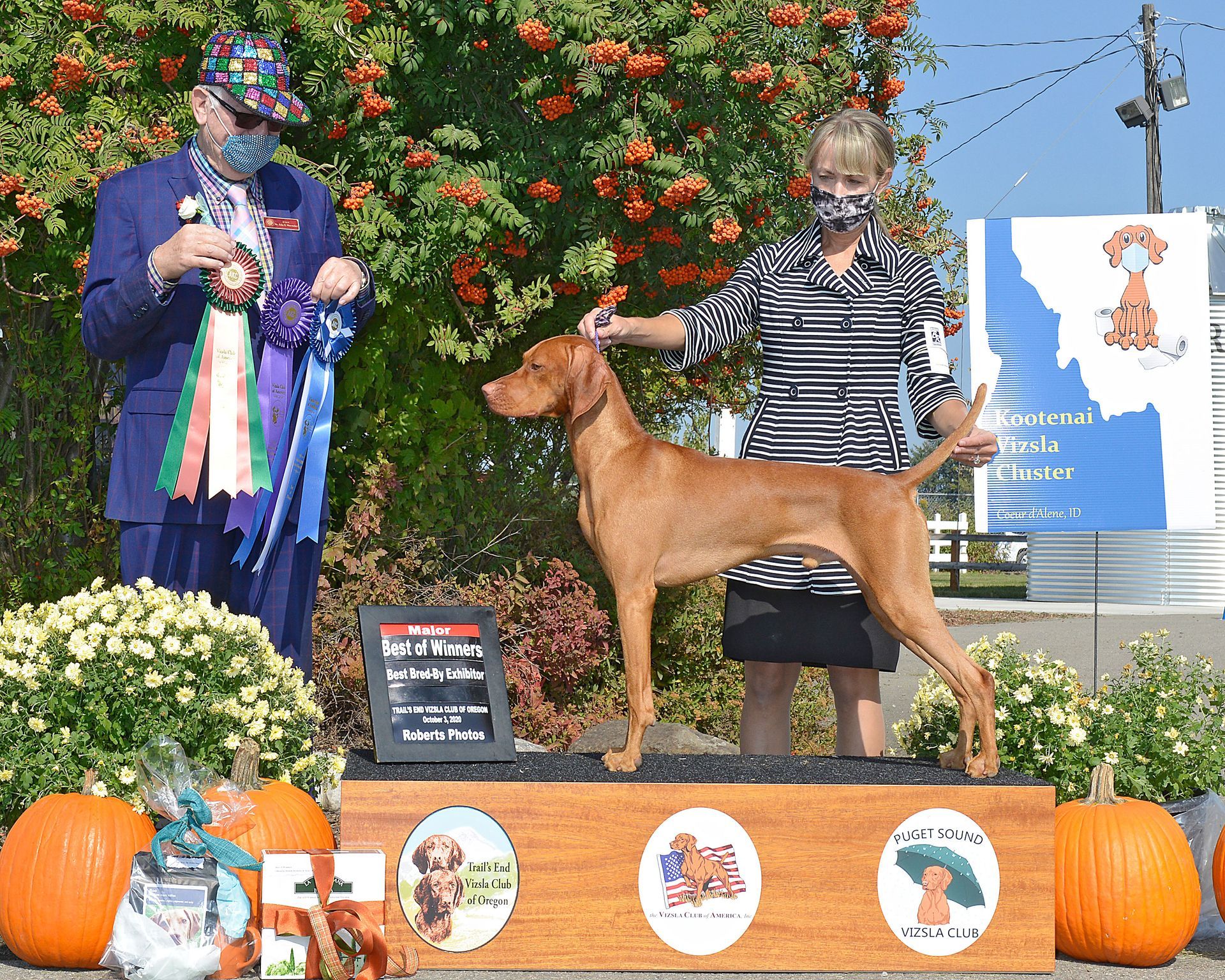 A woman is holding a ribbon next to a brown dog