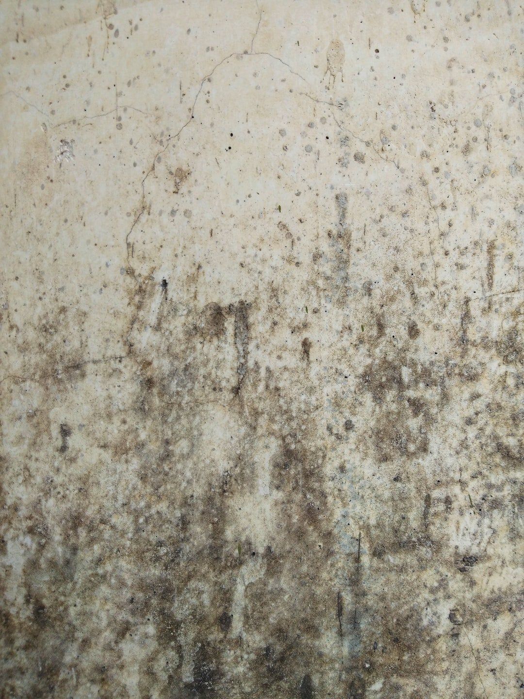 mold